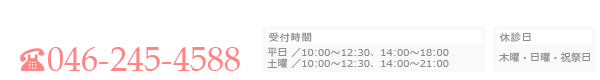 お問合せ　電話番号046-245-4588